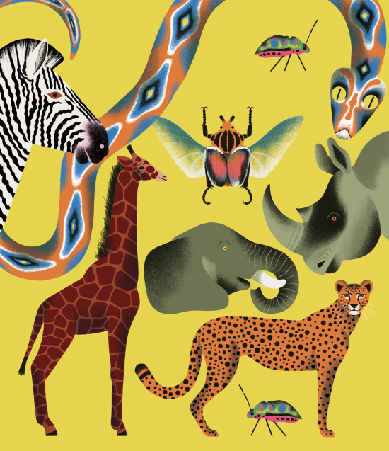 Le Larousse des 500 pourquoi comment - Les Animaux Ed.Larousse