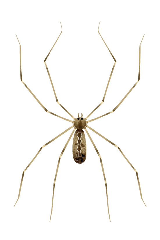 Nos voisins les insectes Ed.La martiniere jeunesse